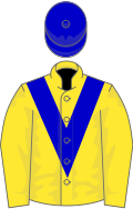 Yellow, blue chevron, yellow sleeves, blue cap