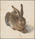 Young Hare, 1502, watercolour and gouache, 25 × 22.5 cm (Albertina, Vienna)