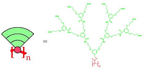 chemical structure of a third generation dendronized polymer
