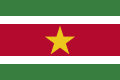 Flag of Suriname , (two bars vert)