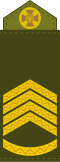 Головний сержант Holovnyi serzhant (Ukrainian Ground Forces)[17]