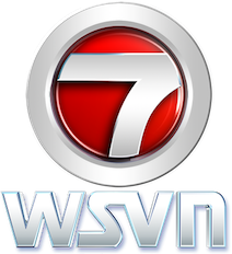 A shiny red sphere framed by a combined chrome 7 and circle (the "circle 7" logo). Underneath the number design are the letters "WSVN" in a distinctive typeface, itself also with a chrome appearance.
