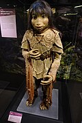 The Jen puppet used in The Dark Crystal on display at the Museum of the Moving Image