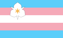 The Sego Visibility Flag, based on the transgender pride flag