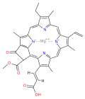 chlorophyll c1