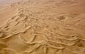 A dune formation on the coastline