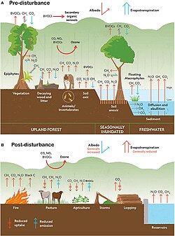 Climate change disturbances of rainforests.[128]