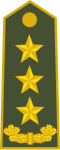 Gjeneral lejtant[1] (Albanian Army)