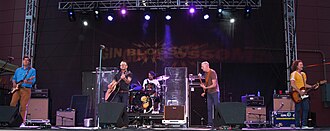Gin Blossoms in 2018