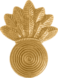 Rank insignia of a United States Marine Corps chief warrant officer gunner