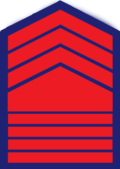 Police Senior master sergeant (P/SMSg) Philippine National Police