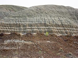 Well-stratified and fully exposed sedimentary formations in Dinosaur Provincial Park, Alberta, Canada) extend over large areas exposing eons of rock history through numerous wind and water exposed strata layers