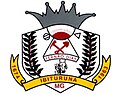 Coat of arms of Ibituruna