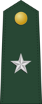 Brigadier general (Philippine Army)[44]