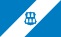 Flag of Dolyna
