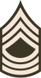 E-8 insignia