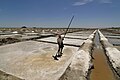 A salt pan worker in a salt evaporation pond in Tamil Nadu, India.