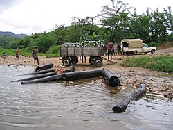 Eight rosewood logs lying at the riverside with nearby workers, a truck, and a cart