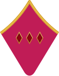 Overcoat collar patch (big)