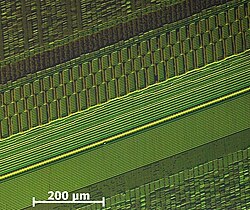Recording of single magnetisations of bits on a 200 MB HDD-platter (recording made visible using CMOS-MagView)[64]