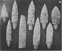Arrowheads from Narmer's tomb, Petrie 1905, Royal Tombs II, pl. IV.14. According to Dreyer,[36] these arrowheads are probably from the tomb of Djer, where similar arrowheads were found.[141]