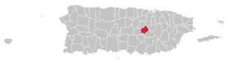 Map of Puerto Rico highlighting Comerío Municipality