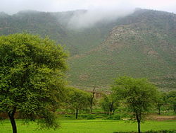 Thill Sharif, Arbab Raja