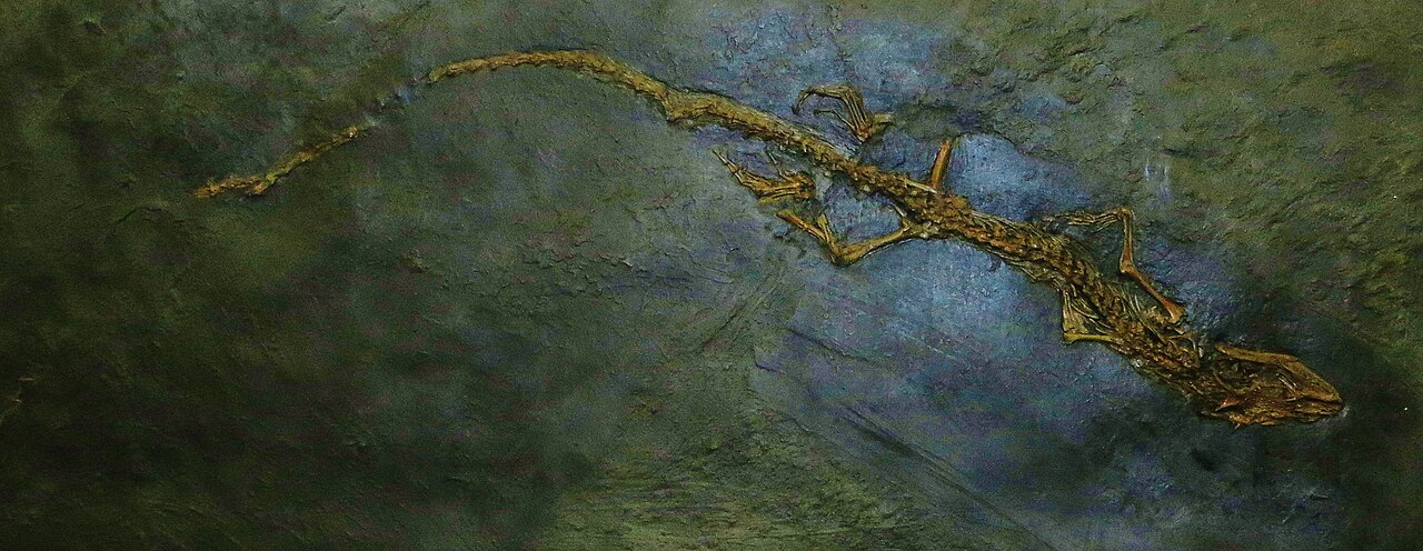 Paranecrosaurus feisti - Milan img1.jpg