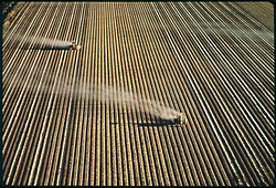 Fertilizing the Imperial Valley, CA, 1972, Charles O'Rear