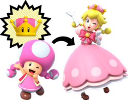 A graphic detailing how the Super Crown (top left) transforms the character Toadette (bottom left) into Peachette (right)