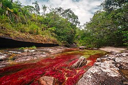 View of the Caño Cristales