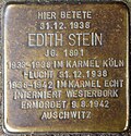 Stolperstein for Edith Stein.