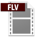 FLV file Icon from Adobe Systems