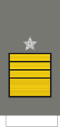 Coronel-tirocinado (Portuguese Army)[14]