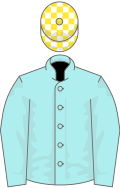 Pale Blue, White and Yellow check cap