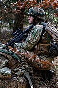 A Georgian soldier with a Bushmaster M4.