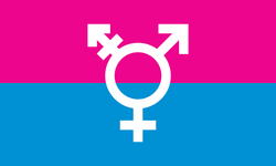Michelle Lindsay's "Trans Flag" design