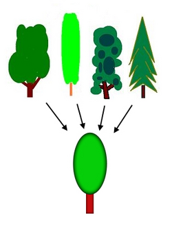 A simple graphic diagram showing four diverse tree illustrations at the top with arrows pointing down to a single generalized green tree shape at the bottom