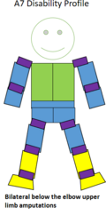 Visualization of an A7 classified swimmer competing in S8