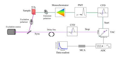 Schematic of a TCSPC setup