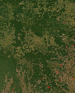 NASA FIRMS satellite observation of deforestation in the Mato Grosso state of Brazil. Transformation from forest to farm is evident by lighter square shaped areas.