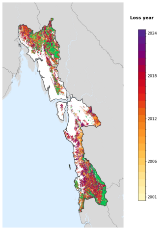 Map of Mon State showing tree-cover loss years, with forest remaining since 2000 in green and loss years shaded yellow through purple.