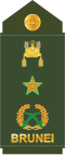 Brigedier jeneral (Royal Brunei Land Force)[15]