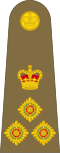 Brigadier (British Army)[29]