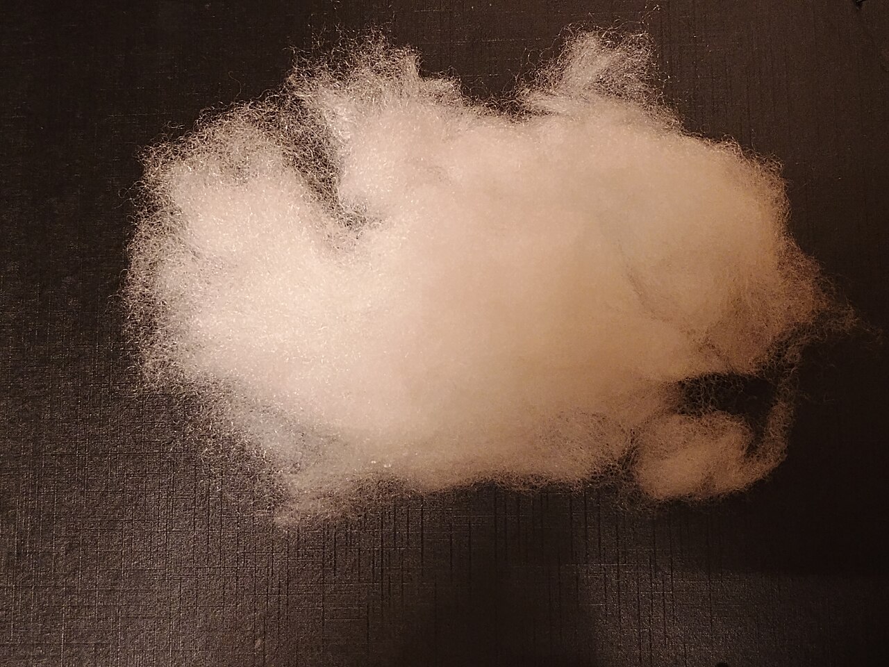 Polyfill.jpg