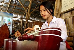 Video of woman playing Cambodian krapeu (ក្រពើ) or takhe (តាខេ)