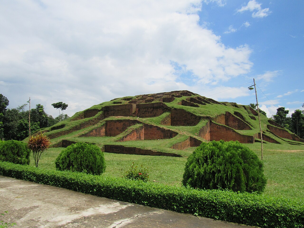 Gokul Medh, Bogra, September 2016 07.jpg