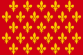 Flag of Prato