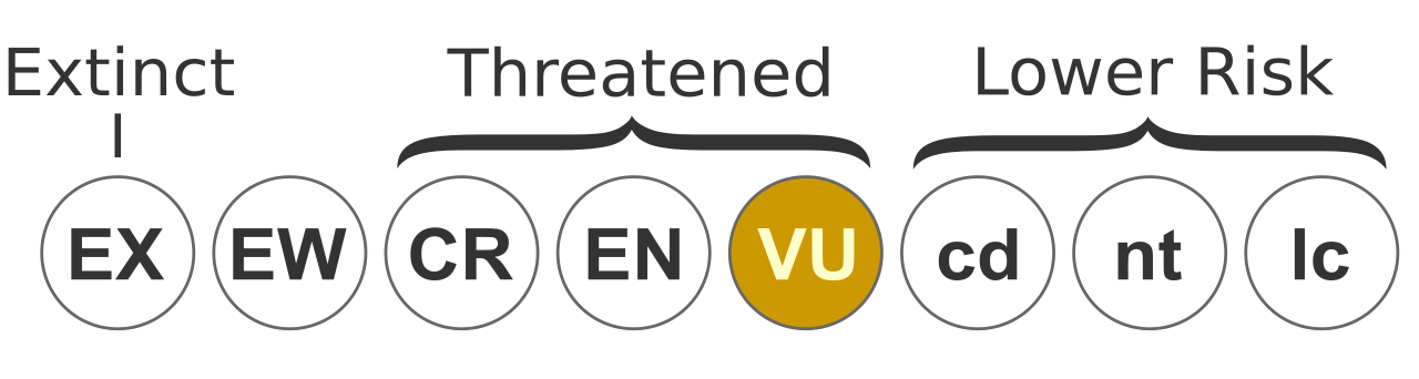 Status iucn2.3 VU.svg