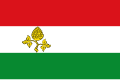 Flag of Peize